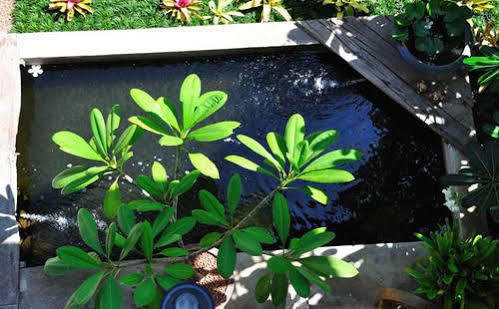 Baan Hanibah Chiang Mai Exteriör bild